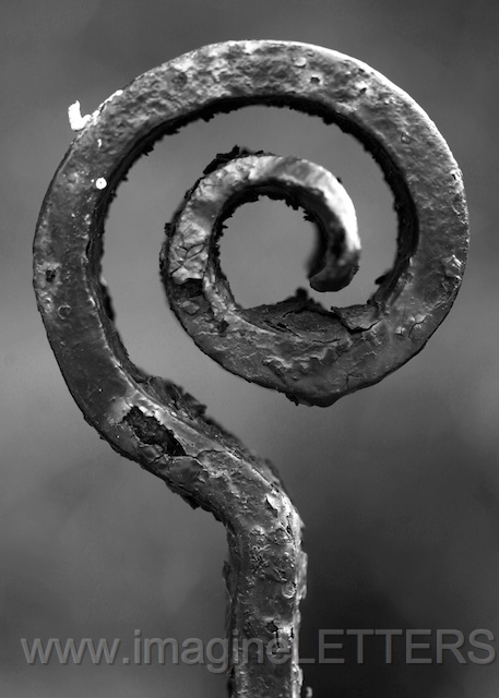Wall_Art_Alphabet_Photography_Art_ 32.jpg